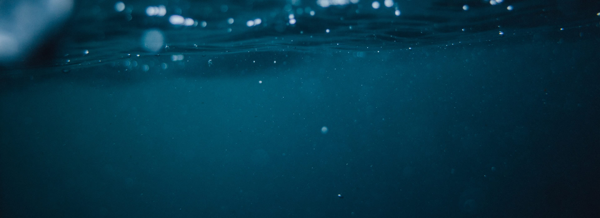 Centro Di Meditazione Zorba il Buddha