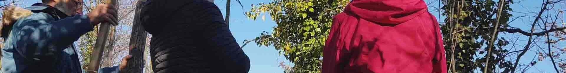 Centro Di Meditazione Zorba Il Buddha